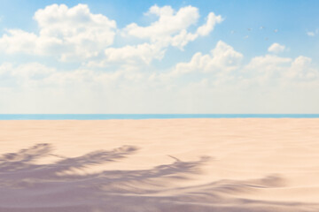3d rendering of a tranquil beach background with the shadow of a palm tree on the sand, a blue sky with fluffy clouds above, and birds flying in the distance. Vacation concept.