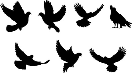 set of silhouettes of birds