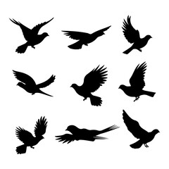 Dove black silhouette. Cute dove bird hand drawing art and vector illustration