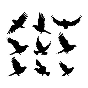 Dove black silhouette. Cute dove bird hand drawing art and vector illustration