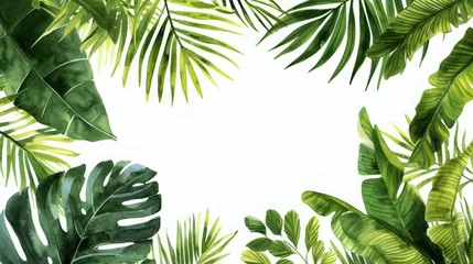 Foto op Plexiglas Watercolor tropical leaves and branches border with white background © Chrixxi