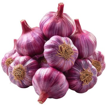 Bunch Garlic Red Shallots On White Background, Illustrations Images