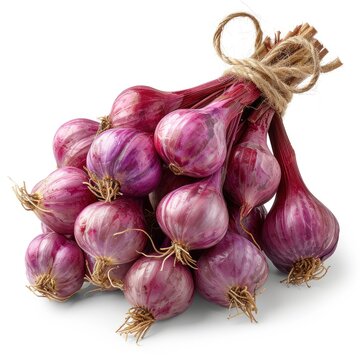 Bunch Garlic Red Shallots On White Background, Illustrations Images