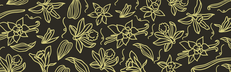 Isolated vector set of vanilla. Pattern. Vanilla sticks, vanilla flower and pods. Aroma, food. Hand drawn. Vector hand drawn illustration of orchid Flower and pods on isolated white background.