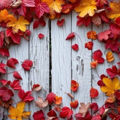 Autumn Leaves On White Wood Background On White Background, Illustrations Images