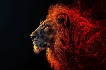 Zelfklevend Fotobehang artistic lion on black background © Hassan