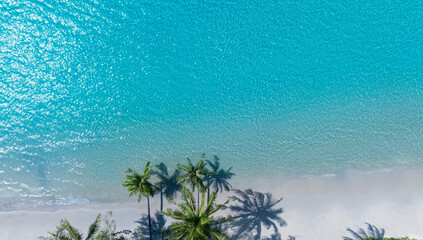 Fototapeta na wymiar Summer palm tree and Tropical beach with blue of seashore background