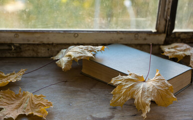 Autumn nostalgia. A closed book and autumn leaves lie on a wooden surface near the window. Several dried yellow autumn leaves are scattered around the book