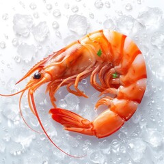 Big Shrimps On Ice On White Background, Illustrations Images