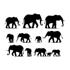 Elephant silhouette. Animal Family with baby elephant hand drawing art and vector illustration