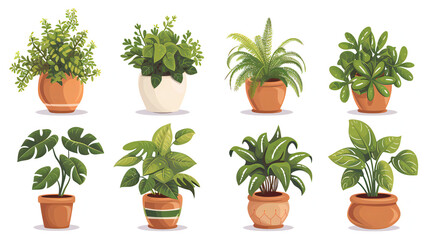 small home plants vector on white background