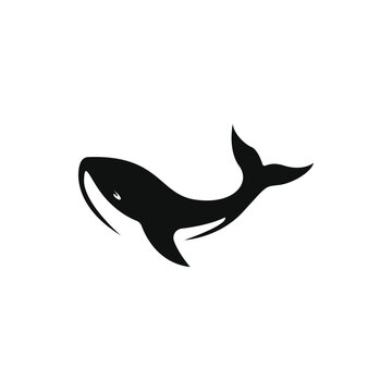 Humpback whale vector illustration design. Sea mammal animal sign and symbol. Whale silhouette. Whale tattoo isolated on white background.
