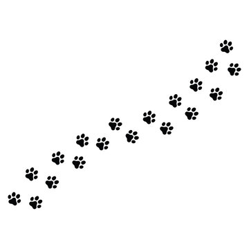 Cute cat paw pattern. Black, white cutie cat paw black and white colors. Sticker, wall art, background, kids room decoration. Cat, kitten, dog, pretty animal, little pussycat, pet 