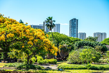 waikiki oahu hawaii roads and city street scenes