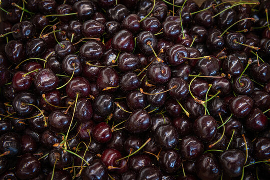 Cerises