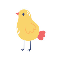 Cute yellow chick. Vector flat illustration isolated on white background.