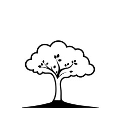 tree isolated on white, a beautiful tree .