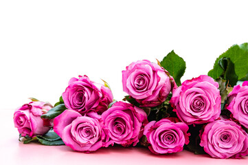Several purple-pink roses on a pale pink  isolated on white background with clipping path