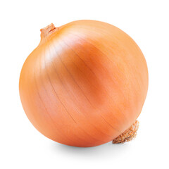  Onion bulb  isolated on white background.  Whole golden onion vegetable close up. Package design element.