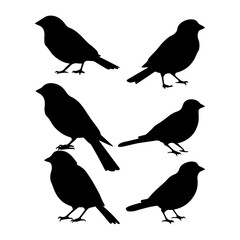 Finch bird black silhouette. Cute bird drawing design and vector illustration