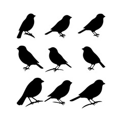 Finch bird black silhouette. Cute bird drawing design and vector illustration
