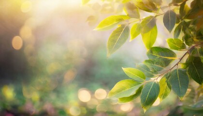 Obraz premium Fresh green leaves, Natural background.