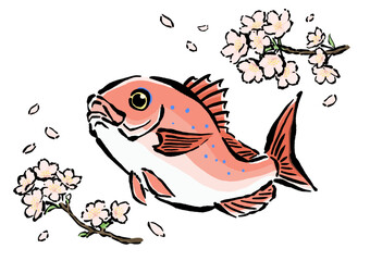 跳ねるさくら鯛と桜の手書きイラスト素材　春のイメージ