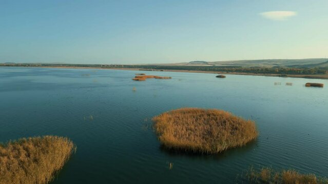 Cinematic shot of a lake with grassy islands on the surface of the water, clear weather and a picturesque landscape on the horizon
