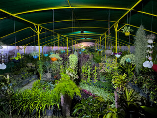 Panoramic 360 view of a plant nursery greenhouse in nighttime