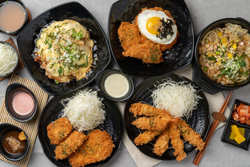 Harekatsu, pork cutlet, shrimp cutlet, kimchi fried rice, kimchi, cheese katsu, udon, roskatsu, fish cutlet, side dish, sauce, cabbage