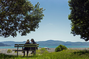 Couple sitting on a bench at Camp Bay enyoing the view. Wellington Harbour area. Coast. 