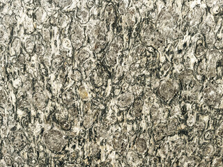 Black vines texture granite slab background