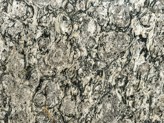 Granite slab with black pattern and vines