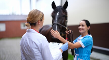 Fototapeta premium Female veterinarian holding test tube in front of thoroughbred horse. Laboratory diagnosis of pet disease concept