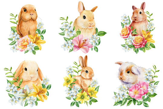 Set bunny and flower isolated white background, watercolor painted cute animal illustration, easter bunny. Spring rabbit
