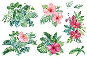 Tropical flowers and leaves. Realistic botanical illustration isolated background, watercolor Pink flower. jungle design © Hanna