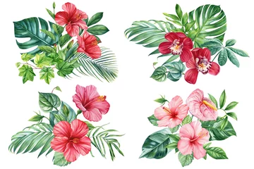 tropical plants, palm leaves and hibiscus flowers, jungle green leaves hand painted with watercolor, botanical painting © Hanna