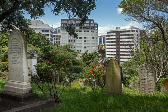 Bolton street cemetery. Tombstones. Graveyard. Wellington New Zealand.