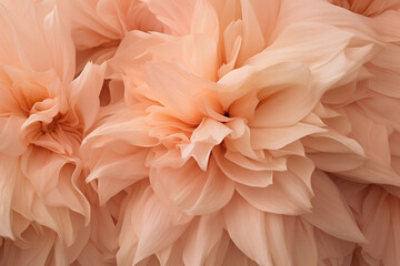 Close up of pink dahlia petals for background use.