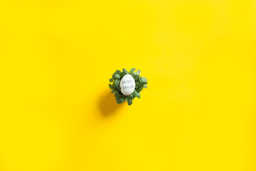 Easter beautiful flat lay with one egg in center on green plant on yellow background