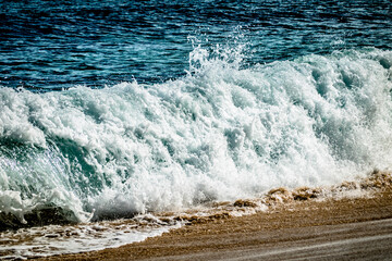 Fototapeta premium oahu island in hawaii northshore ocean scenes