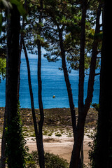 Paisaje en las Islas Cies.