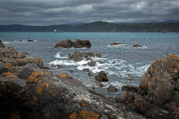 Fototapeta na wymiar Rocky coast at Breaker Bay. Wellington New Zealand. Tasman Sea. 