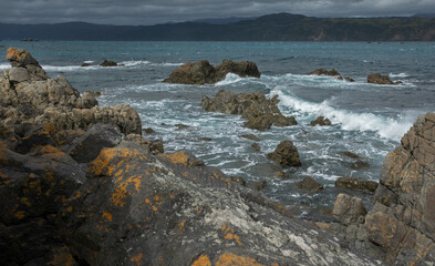 Fototapeta na wymiar Rocky coast at Breaker Bay. Wellington New Zealand. Tasman Sea. Waves.