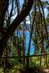 Paisaje en las Islas Cies.