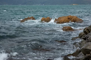 Fototapeten Rocks and interislander ferry. at Halswell point. Wellington New Zealand. Bay. Sea. Coast. © A