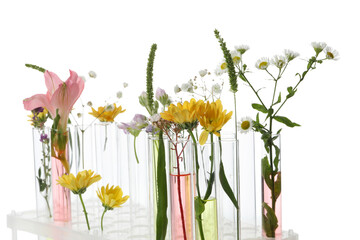 PNG, Test tubes with flowers, isolated on white background