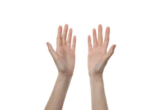 PNG,female palms, isolated on white background