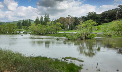 Fototapeta na wymiar Near Waipukurau Hawke's Bay. New Zealand. Flooded meadows.