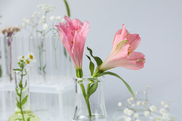 Test tubes and flowers, Herbal medicine, concept of herbal medicine research